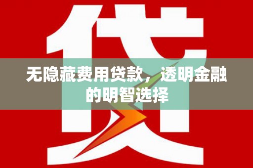 岳西无隐藏费用贷款，透明金融的明智选择