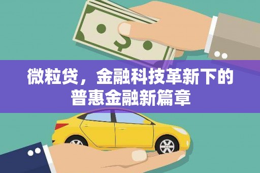岳西微粒贷，金融科技革新下的普惠金融新篇章