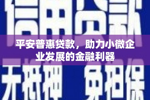 岳西平安普惠贷款，助力小微企业发展的金融利器