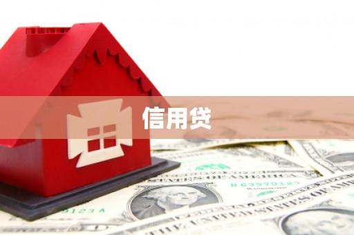 岳西信用贷