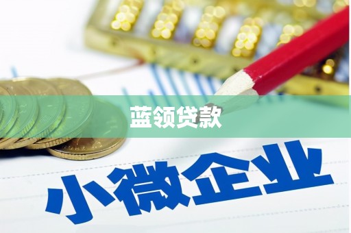 岳西蓝领贷款