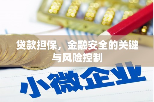 岳西贷款担保，金融安全的关键与风险控制