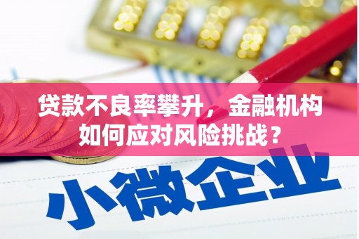 岳西贷款不良率攀升，金融机构如何应对风险挑战？