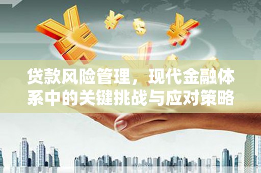 岳西贷款风险管理，现代金融体系中的关键挑战与应对策略