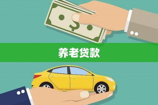 岳西养老贷款