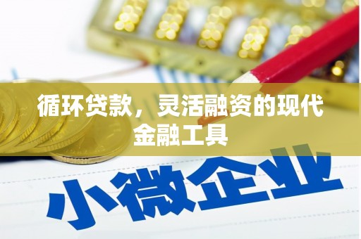 岳西循环贷款，灵活融资的现代金融工具