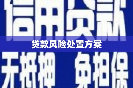 岳西贷款风险处置方案