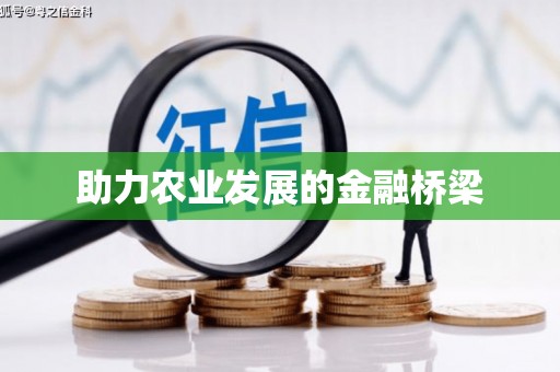 岳西助力农业发展的金融桥梁