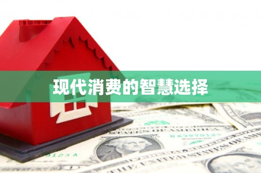 岳西现代消费的智慧选择