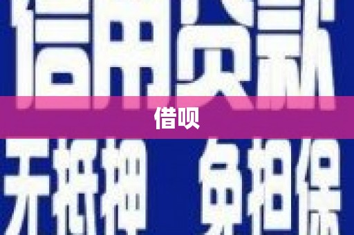 岳西借呗