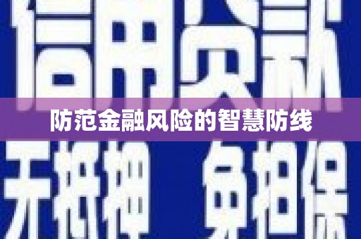 岳西防范金融风险的智慧防线