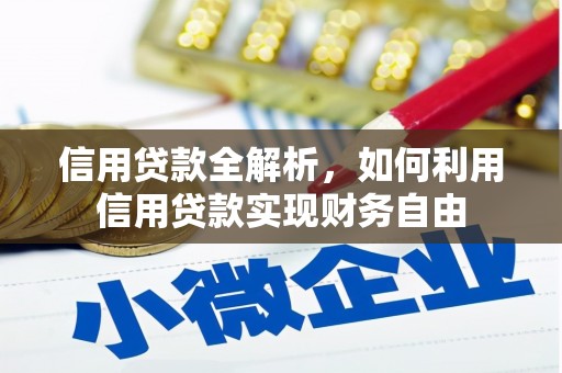 岳西信用贷款全解析，如何利用信用贷款实现财务自由