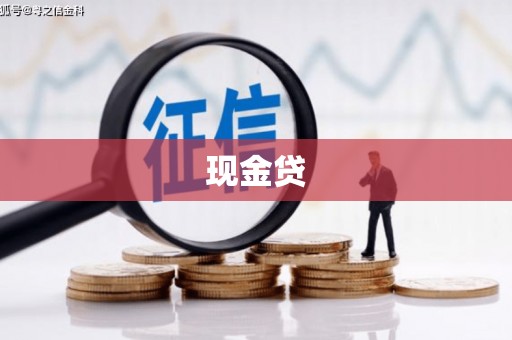 岳西现金贷