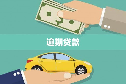 岳西逾期贷款
